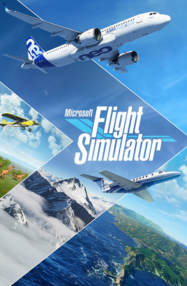 Flight Simulator